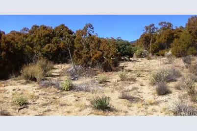 37245 Old Forest Road, Anza, CA 92539 - Photo 11