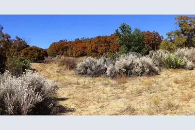 37245 Old Forest Road, Anza, CA 92539 - Photo 15