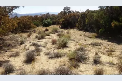 37245 Old Forest Road, Anza, CA 92539 - Photo 9