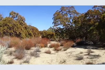 37245 Old Forest Road, Anza, CA 92539 - Photo 35