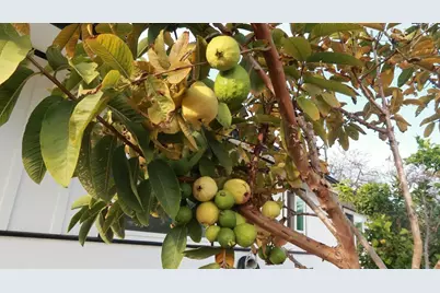 2801 College Blvd, Oceanside, CA 92056 - Photo 35