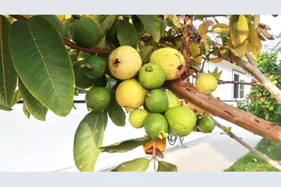 2801 College Blvd, Oceanside, CA 92056 - Photo 51