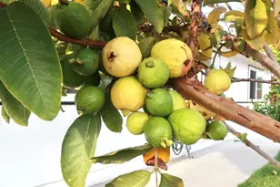 2801 College Blvd, Oceanside, CA 92056 - Photo 51