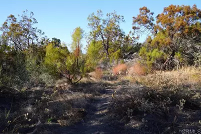 46005 Stanley Rd, Hemet, CA 92544 - Photo 15