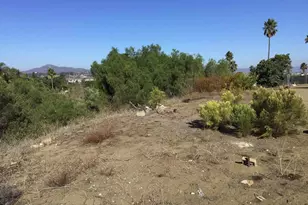 10979 Skywood Dr, El Cajon, CA 92020 - Photo 43