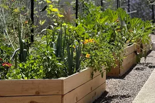 9824 Quail Canyon Rd, El Cajon, CA 92021 - Photo 37