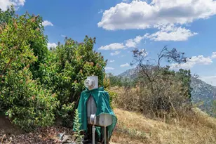 17368 Skyline Truck Trail, Jamul, CA 91935 - Photo 21