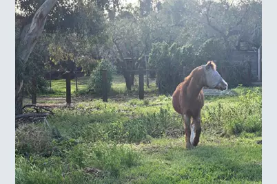 2205 Leon Avenue, San Diego, CA 92154 - Photo 59