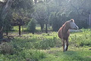 2205 Leon Ave, San Diego, CA 92154 - Photo 59