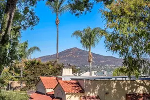 4515 Acacia Ave, La Mesa, CA 91941 - Photo 43