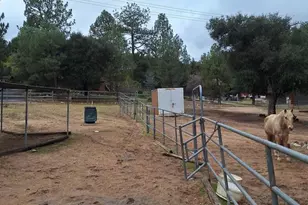 28765 Old Hwy 80, Pine Valley, CA 91962 - Photo 7