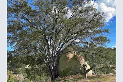 2494 Donnil Lane, Fallbrook, CA 92028 - Photo 31