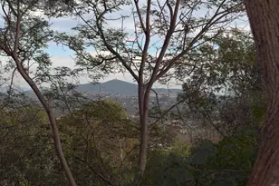 5443 Calzada Del Bosque, Rancho Santa Fe, CA 92067 - Photo 19