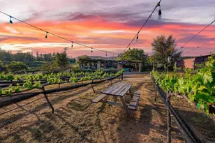 25260 E Old Julian Hwy, Ramona, CA 92065 - Photo 51