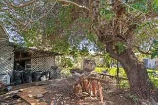 2249 Conifer Ave, San Diego, CA 92154 - Photo 11