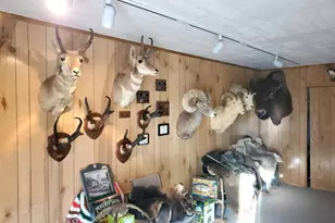 17910 Bluegrass Rd, Ramona, CA 92065 - Photo 7