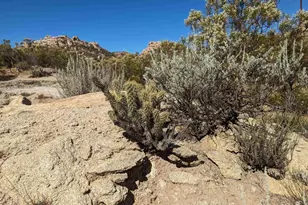 42084 Old Hwy 80, Jacumba, CA 91934 - Photo 9