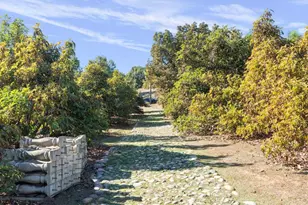 15141 Post Oak Ln, El Cajon, CA 92021 - Photo 65