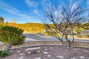 10118 Swanton Dr, Santee, CA 92071 - Photo 39