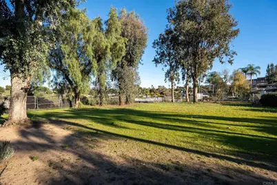 1029 Rippey St, El Cajon, CA 92020 - Photo 45