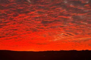 770 Tierra Del Sol Rd, Boulevard, CA 91905 - Photo 31