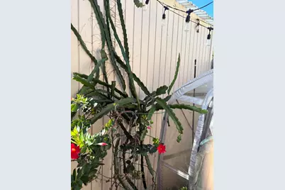 818 820 San Pasqual Street, San Diego, CA 92113 - Photo 39