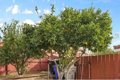 7425 Alsacia St, San Diego, CA 92139 - Photo 25