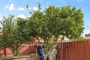 7425 Alsacia St, San Diego, CA 92139 - Photo 25