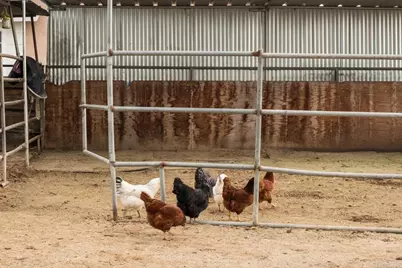 182 Sawday Rd, Ramona, CA 92065 - Photo 37