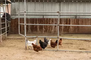 182 Sawday Rd, Ramona, CA 92065 - Photo 37