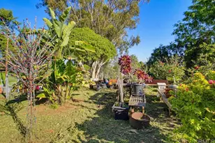 7098 Neri Dr, La Mesa, CA 91942 - Photo 51