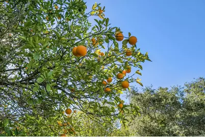 1051 Via Rancho Parkway, Escondido, CA 92029 - Photo 67