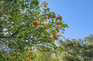 1051 Via Rancho Pkwy, Escondido, CA 92029 - Photo 67