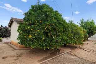 2938 Viejas View Pl, Alpine, CA 91901 - Photo 51