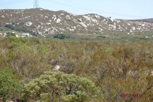 20 Acres Buckman Springs Rd, Campo, CA 91906 - Photo 1