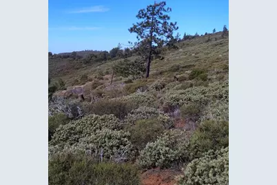 0 Coulter Ridge Drive, Julian, CA 92036 - Photo 3