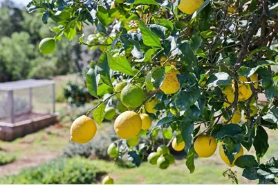 1761 Winterwarm Drive, Fallbrook, CA 92028 - Photo 43