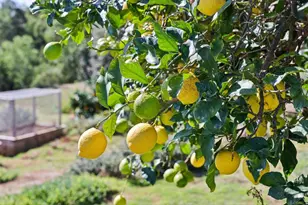 1761 Winterwarm Dr, Fallbrook, CA 92028 - Photo 43