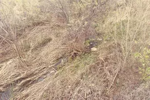 27960 Moosa Crk Wy, Valley Center, CA 92082 - Photo 71