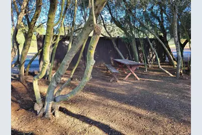 616 Alpine Heights-20Acres, Alpine, CA 91901 - Photo 51