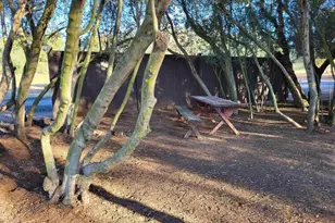 616 Alpine Heights-20Acres, Alpine, CA 91901 - Photo 51