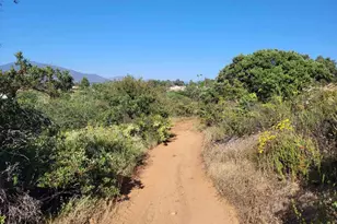 616 Alpine Heights-20Acres, Alpine, CA 91901 - Photo 47