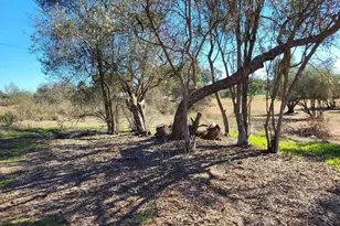 616 Alpine Heights-20Acres, Alpine, CA 91901 - Photo 31