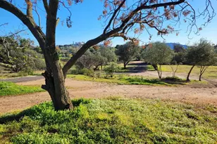 616 Alpine Heights-20Acres, Alpine, CA 91901 - Photo 39