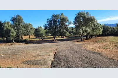 616 Alpine Heights-20Acres, Alpine, CA 91901 - Photo 49