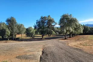 616 Alpine Heights-20Acres, Alpine, CA 91901 - Photo 49