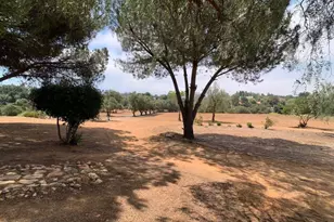 616 Alpine Heights-20Acres, Alpine, CA 91901 - Photo 37