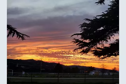 37304 Montezuma Valley Road, Ranchita, CA 92066 - Photo 11