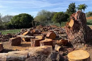 3536 Ybarra Rd, Spring Valley, CA 91978 - Photo 39