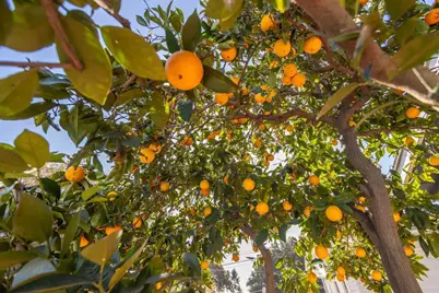 3653 55 37th Street, San Diego, CA 92105 - Photo 23